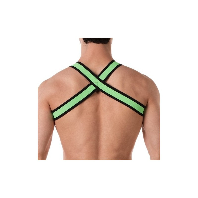 Harnais élastique Colin Vert